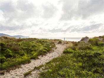 Waikanae Retreat (Bachcare) - Waikanae Beach