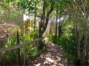 Bush Beach Delight (Bachcare) - Onetangi