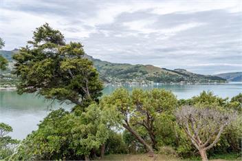 Otahuahua (Bachcare) - Akaroa