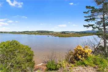 Green Oasis (Bachcare) - Mangawhai Heads
