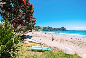 WAVESONG: Coast & Country - Waiheke Island