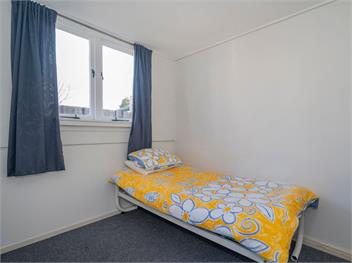 Pipi Palace (Bachcare) - Whangamata