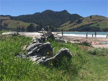 70's Iconic Bach - Whitianga