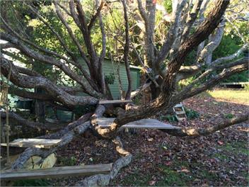 Totara Lodge - Bay of Islands 