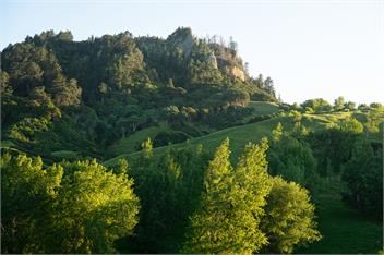 Rose Cottage - Masterton
