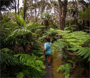 MANAWA Lake Tarawera - Rotorua