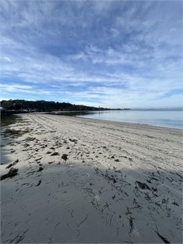 Rangiputa Absolute Beachfront -