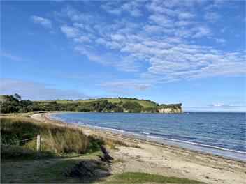 Seabreeze Amy Bay - Whangaparaoa