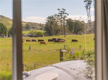Cozy Cottage (Bachcare) - Whitianga