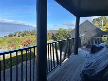 Lake Brunner Road - Lichen Lodge - West Coast