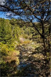 Kauri Cottage at Marble Hills (Bachcare) - 