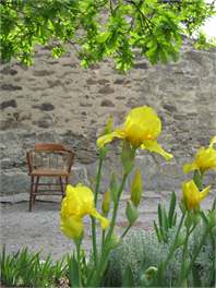Historic Stone Cottage - Alexandra
