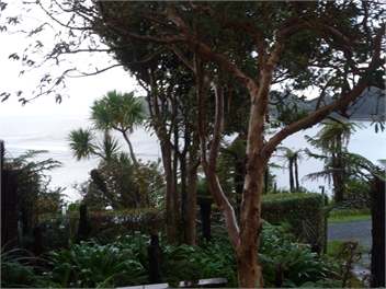 Kamahi Cottage - Halfmoon Bay