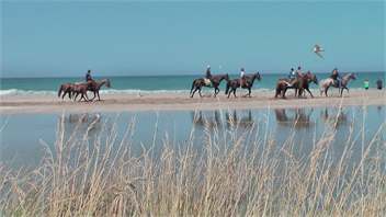 Okau Station Beach Retreat , Mataikona road - Masterton