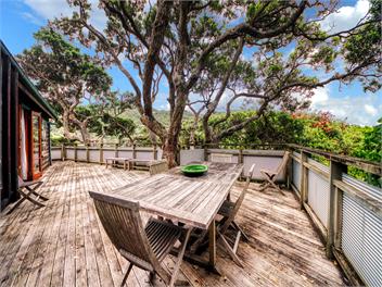 Piha Log Cabin - Auckland 