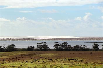 Mangrove Bach - kaitaia