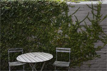 Art Stable: Central city boutique apartment - Wellington