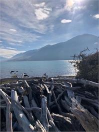 Snowshoe Cottage - McKenzie