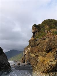 The Blue Bach 12 Mile Coast Road Motukiekie - Greymouth