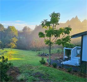 Orchard Cottage - Whangarei