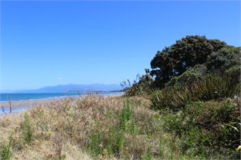 Mohuaiti (Bachcare) - Pakawau