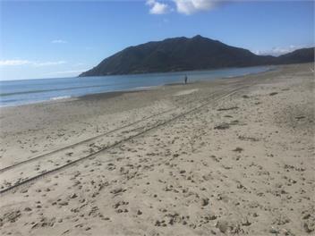 Runaway Retreat - Bay of Plenty - Opotiki