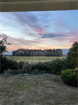 Taraview Cottage - 