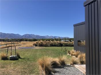 Tussock Fields - Twizel