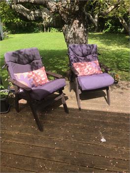Walk to Lake Karapiro domain and water sports - Cambridge