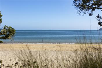 Pohutukawa Sands - Northland