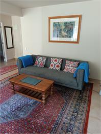 Explore bush and beach - Auckland