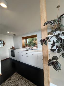 Mid Century Beauty - Christchurch