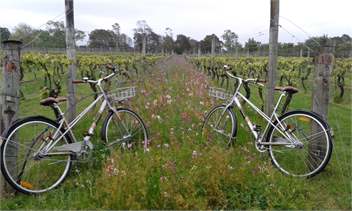 Olive Tree Cottage - Martinborough