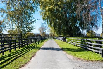 Cottage on Equestrian Estate - Hastings