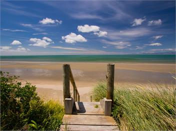 Mohua (Bachcare) - Pakawau