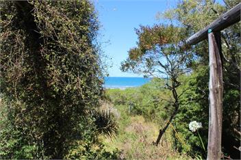 Mohuaiti (Bachcare) - Pakawau