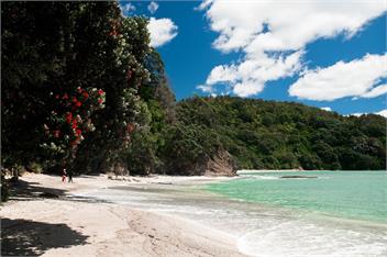 West End Bliss - Whakatane