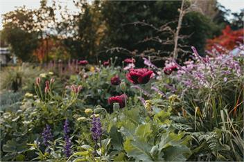 'Accrington Farmhouse' at Ridgecliff Farm ~ Coastal Country Escape, Little Akaloa - Little Akaloa
