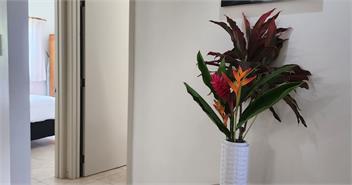PACIFIC BREEZE BEACH HOUSE - TUPAPA - Cook Islands