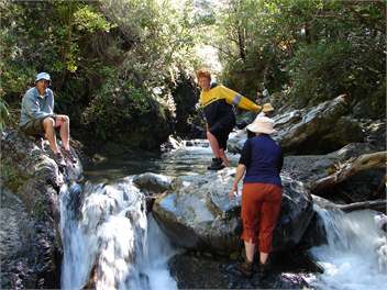 Lancewood Lodge - Mt Lyford