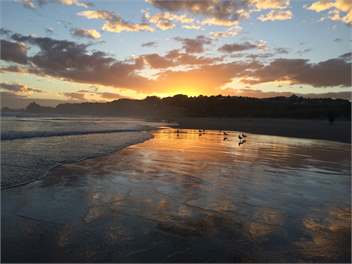 Bungalow by the sea - Dunedin