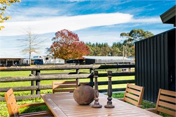 Cottage on Equestrian Estate - Hastings