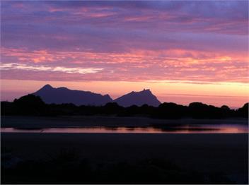 Marotere - Bream Bay