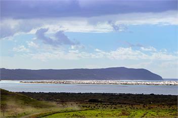 Mangrove Bach - kaitaia