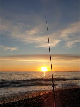 Ngawi Coastal Kiwi Bach - Ngawi