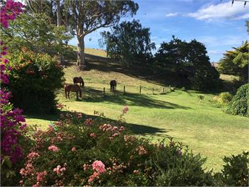 Charming Tasman Farmstay Unit - 7173 Upper Moutere