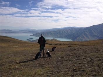 Shepherds Creek Cottage - Twizel