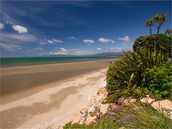 Mohua (Bachcare) - Pakawau