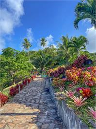 Iro Luxury Retreat - Rarotonga
