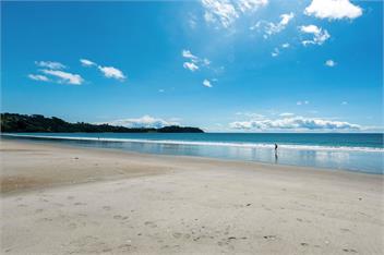 Onetangi Bliss (Bachcare) - Waiheke Island